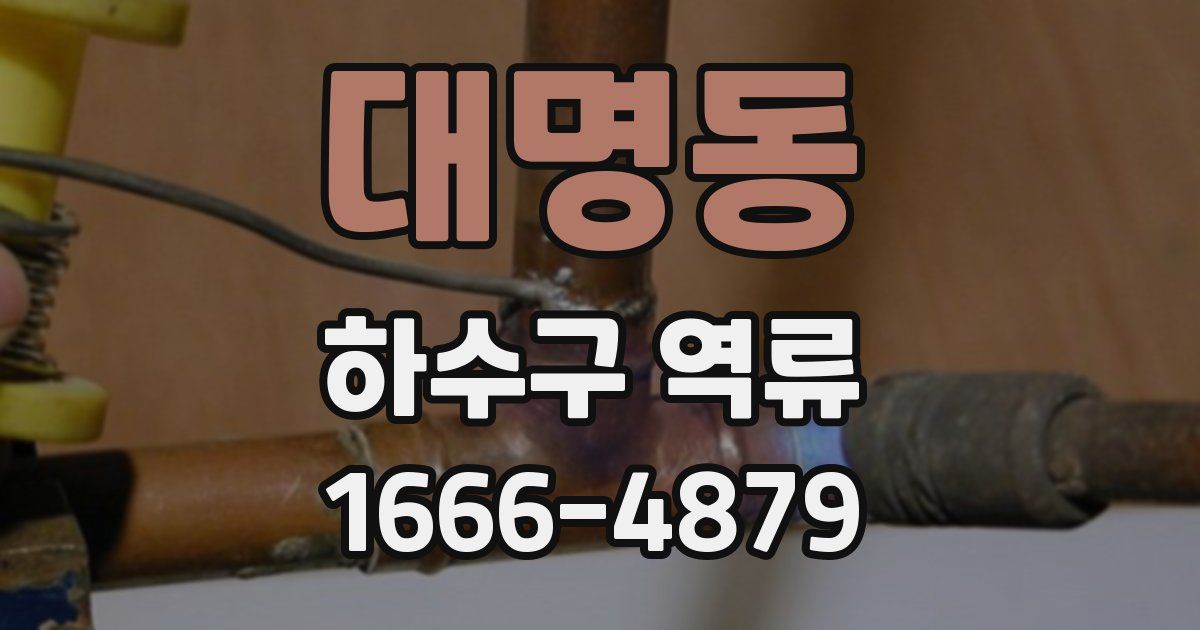 대명동 하수구 역류