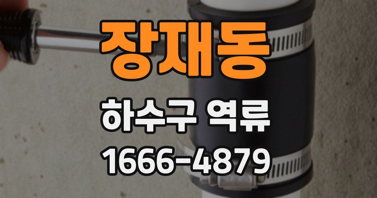 장재동 하수구 역류