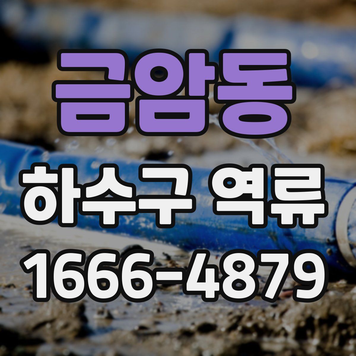 금암동 하수구 역류