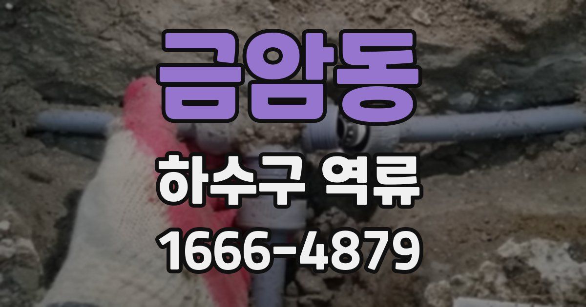 금암동 하수구 역류