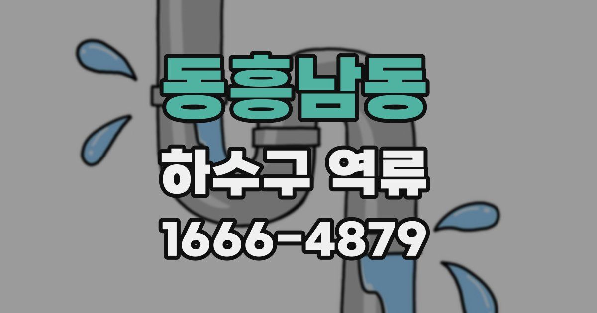 동흥남동 하수구 역류