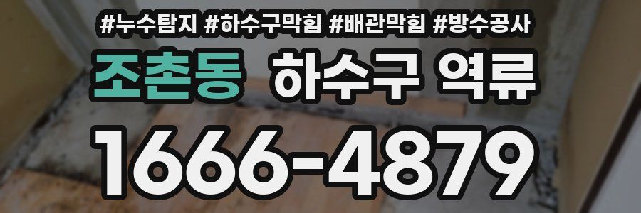 조촌동 하수구 역류