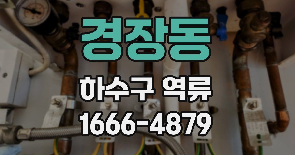 경장동 하수구 역류
