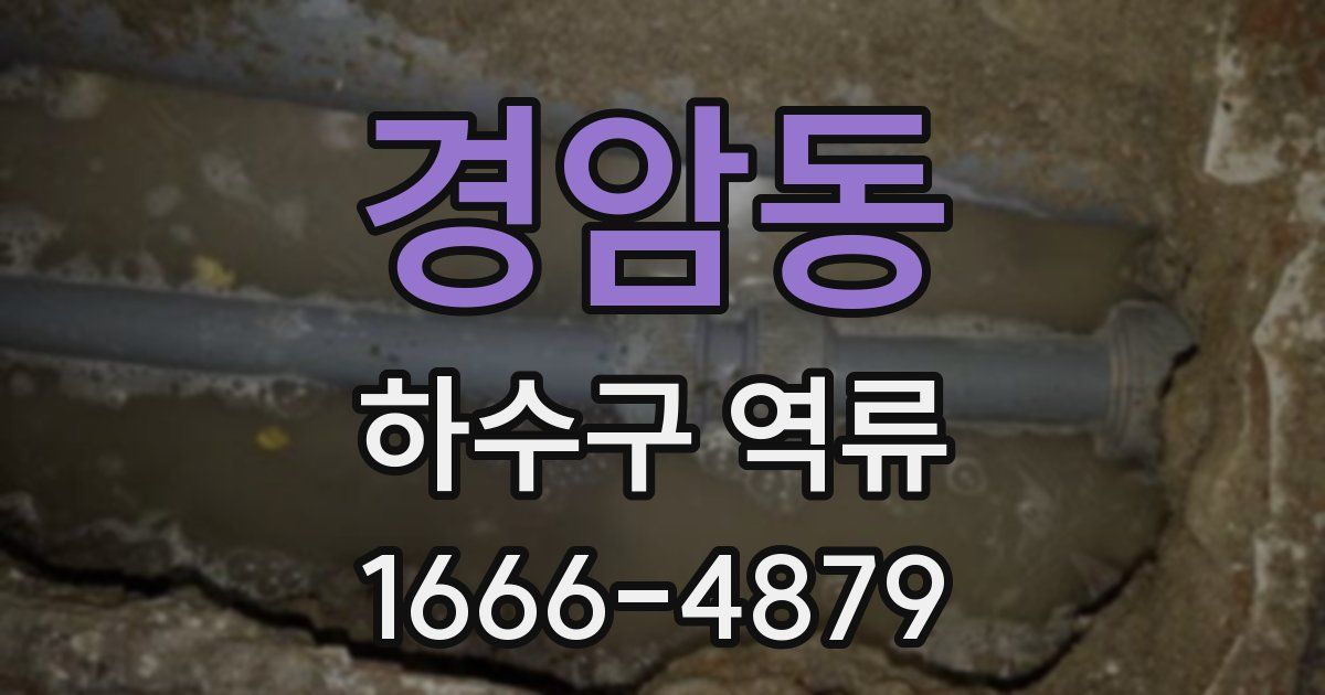 경암동 하수구 역류