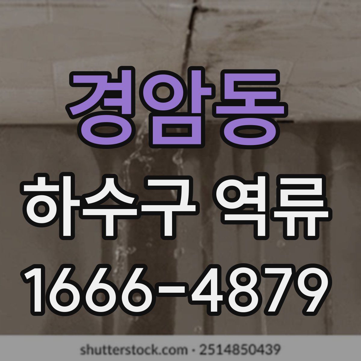 경암동 하수구 역류