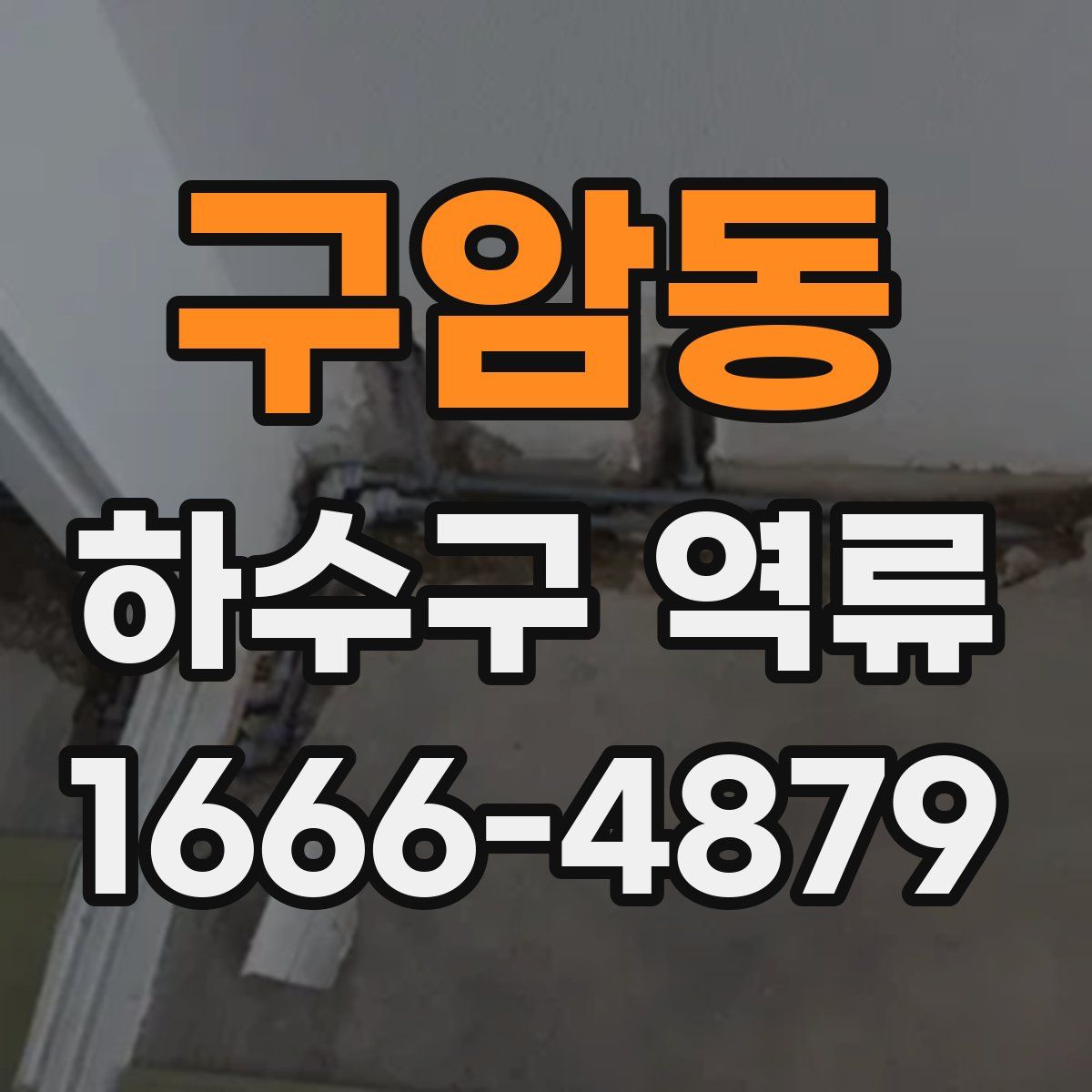 구암동 하수구 역류