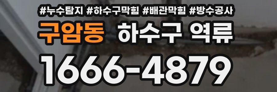 구암동 하수구 역류