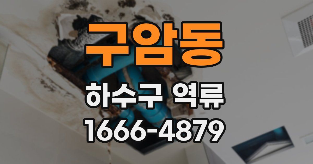 구암동 하수구 역류