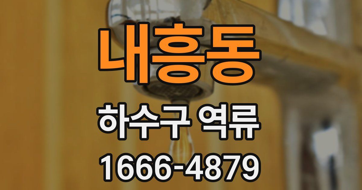 내흥동 하수구 역류