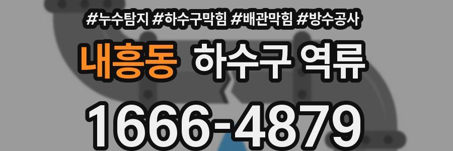 내흥동 하수구 역류