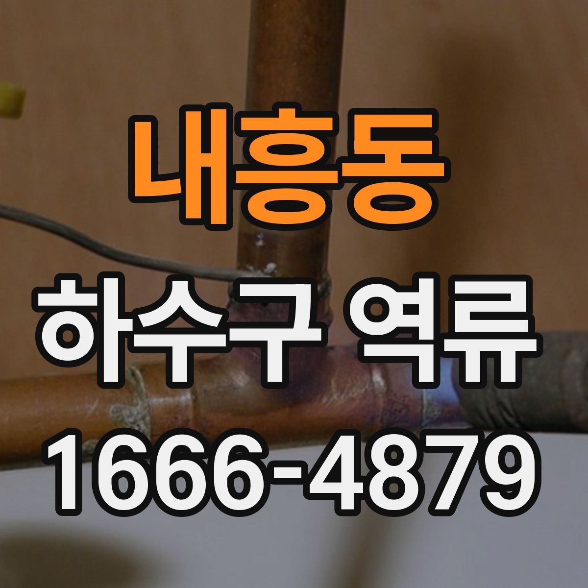 내흥동 하수구 역류