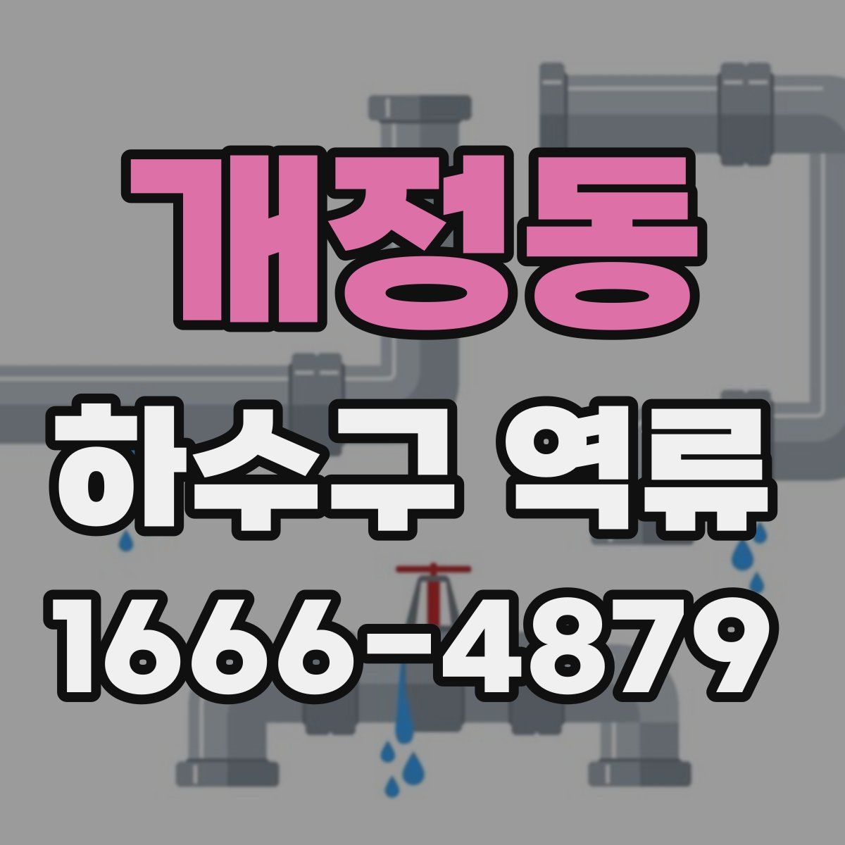개정동 하수구 역류