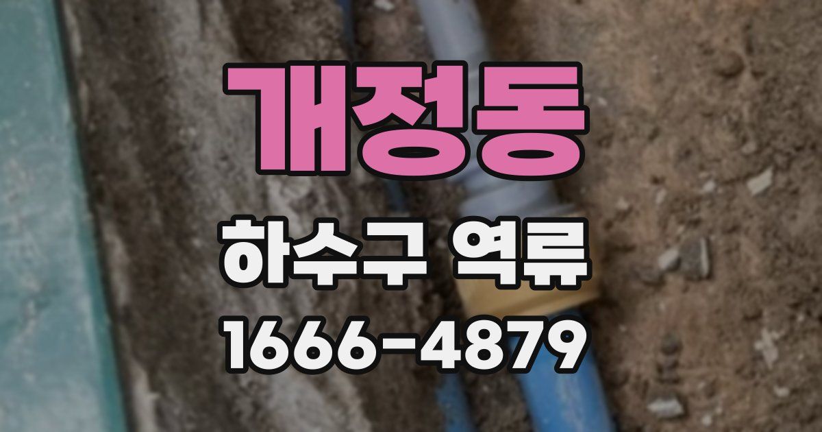 개정동 하수구 역류