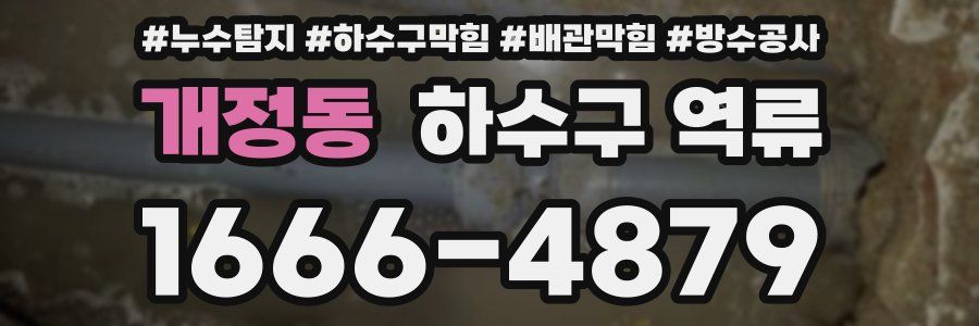 개정동 하수구 역류