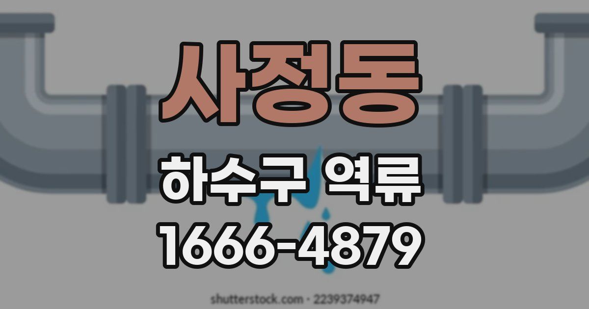 사정동 하수구 역류