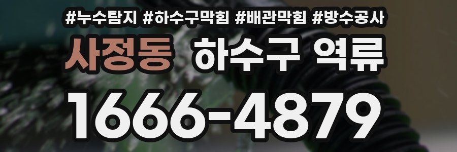 사정동 하수구 역류