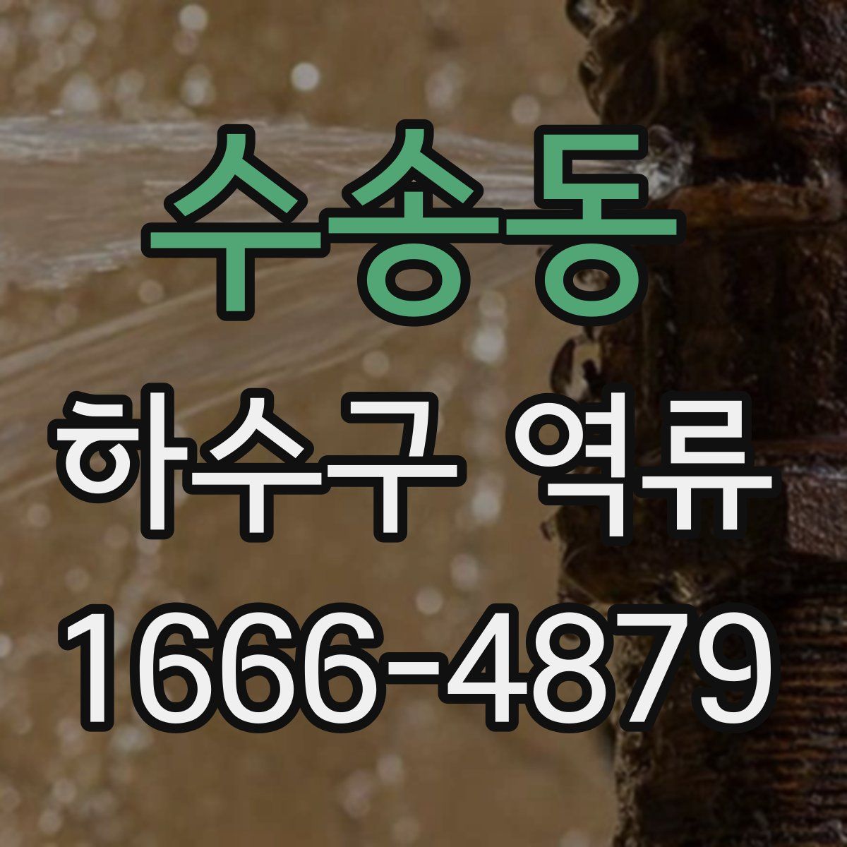 수송동 하수구 역류