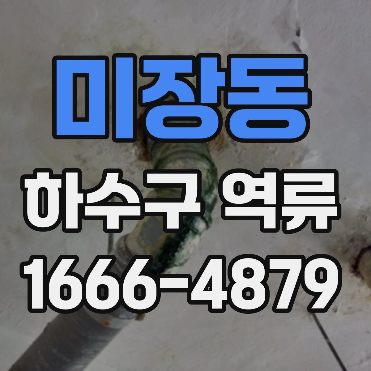 미장동 하수구 역류