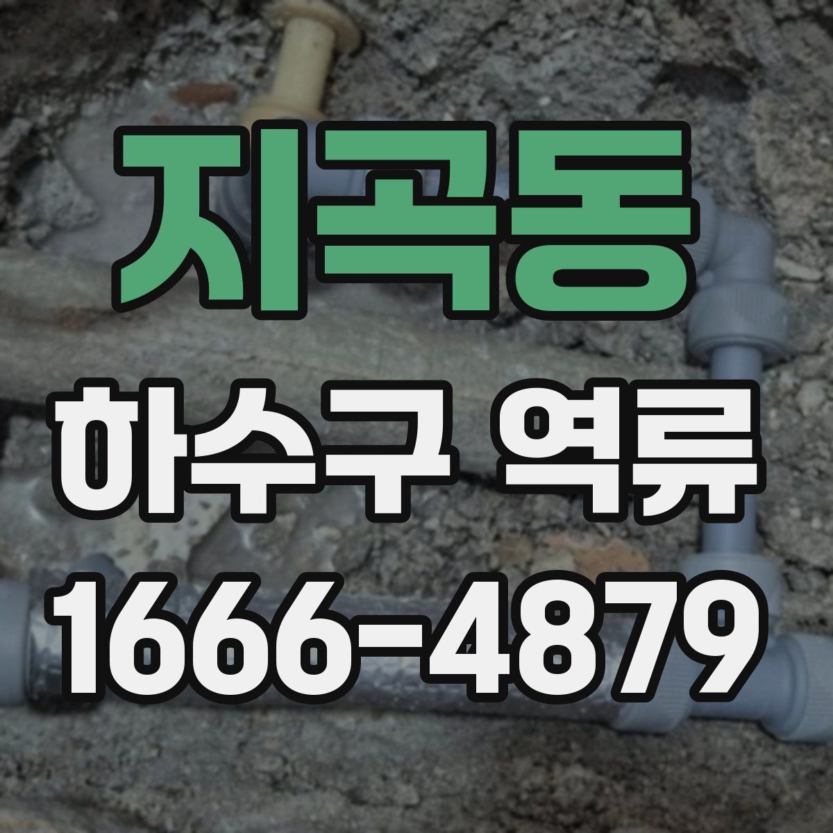 지곡동 하수구 역류