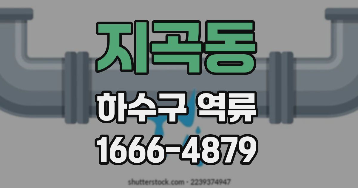 지곡동 하수구 역류