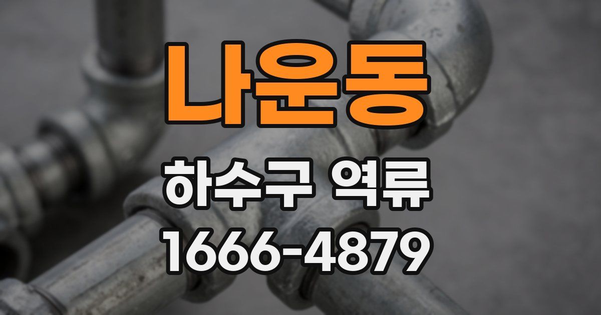 나운동 하수구 역류