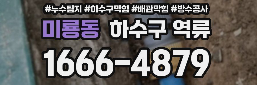 미룡동 하수구 역류
