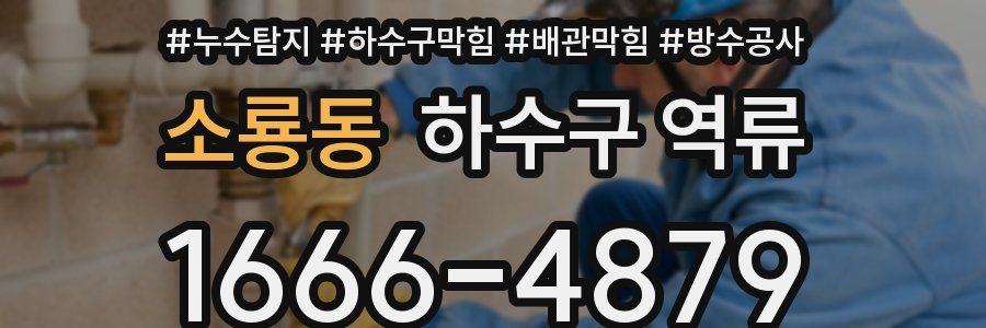 소룡동 하수구 역류