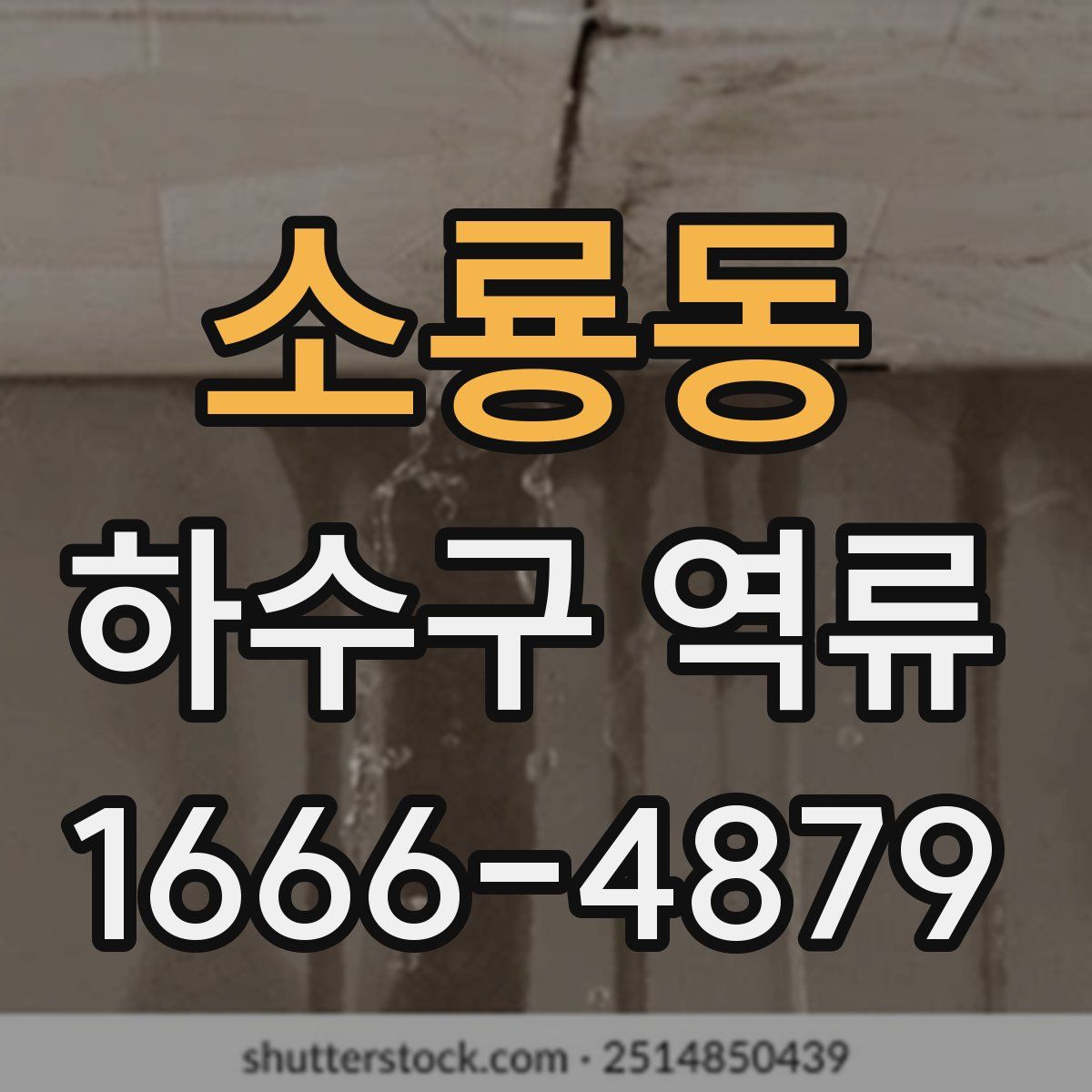 소룡동 하수구 역류