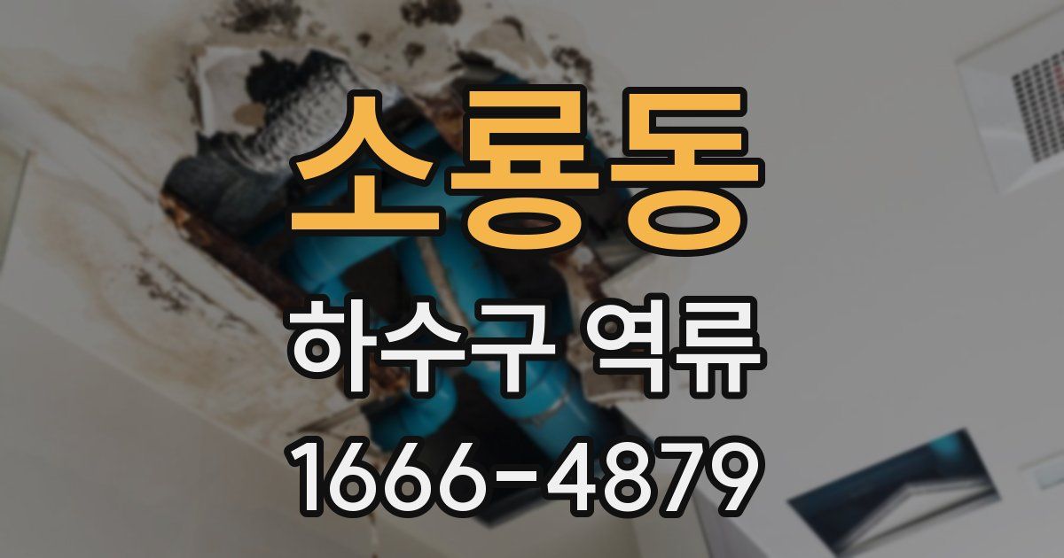 소룡동 하수구 역류