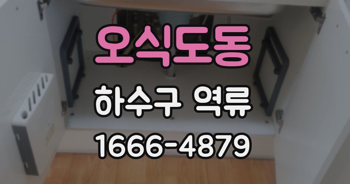 오식도동 하수구 역류