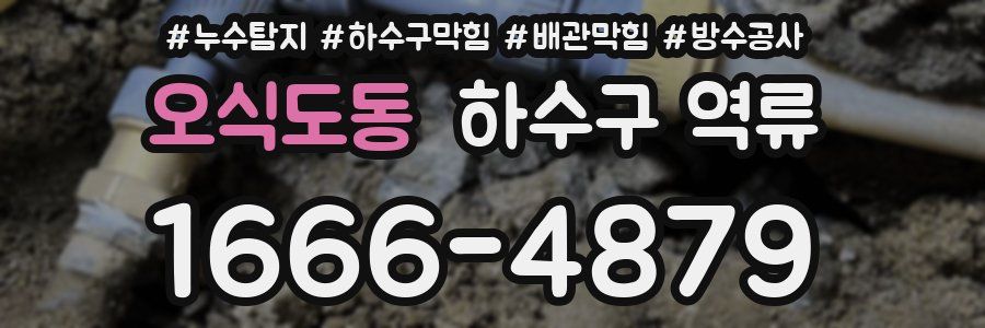 오식도동 하수구 역류