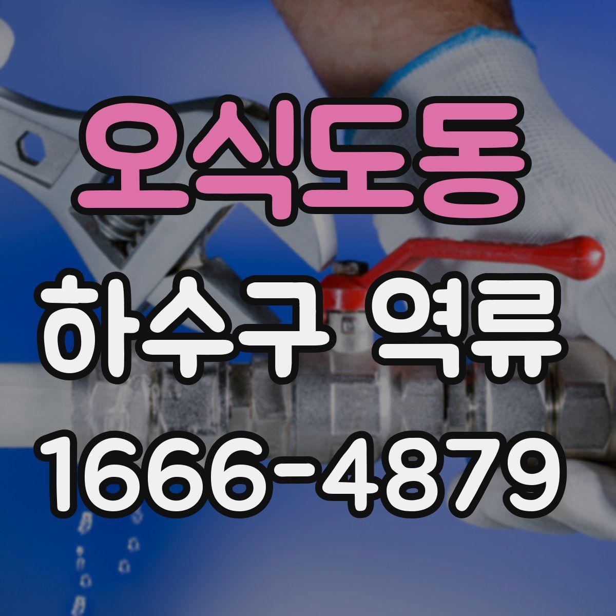오식도동 하수구 역류