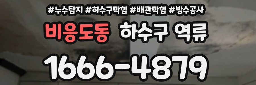 비응도동 하수구 역류