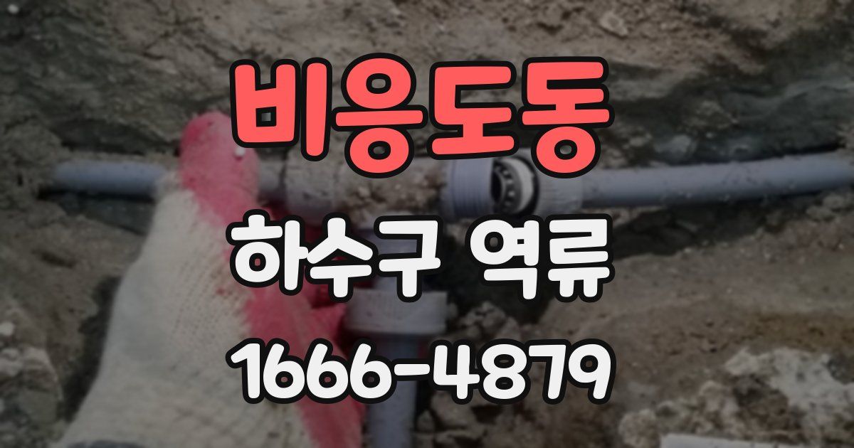 비응도동 하수구 역류