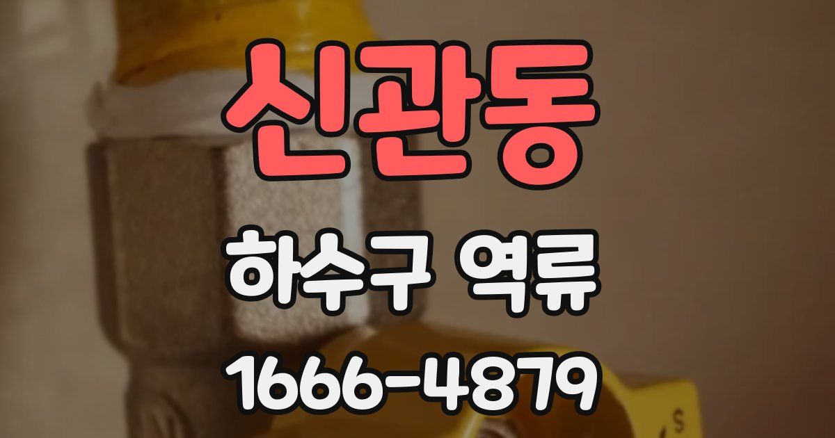 신관동 하수구 역류