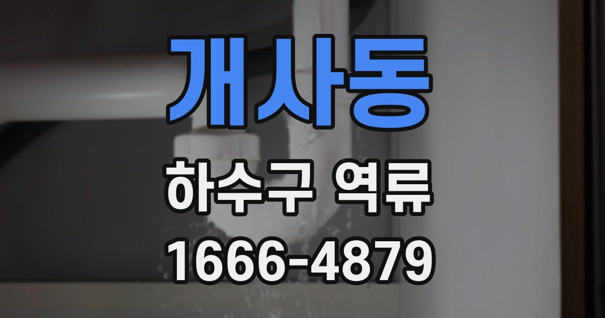 개사동 하수구 역류
