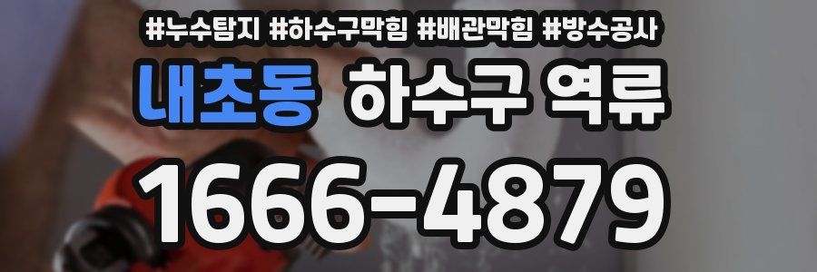 내초동 하수구 역류
