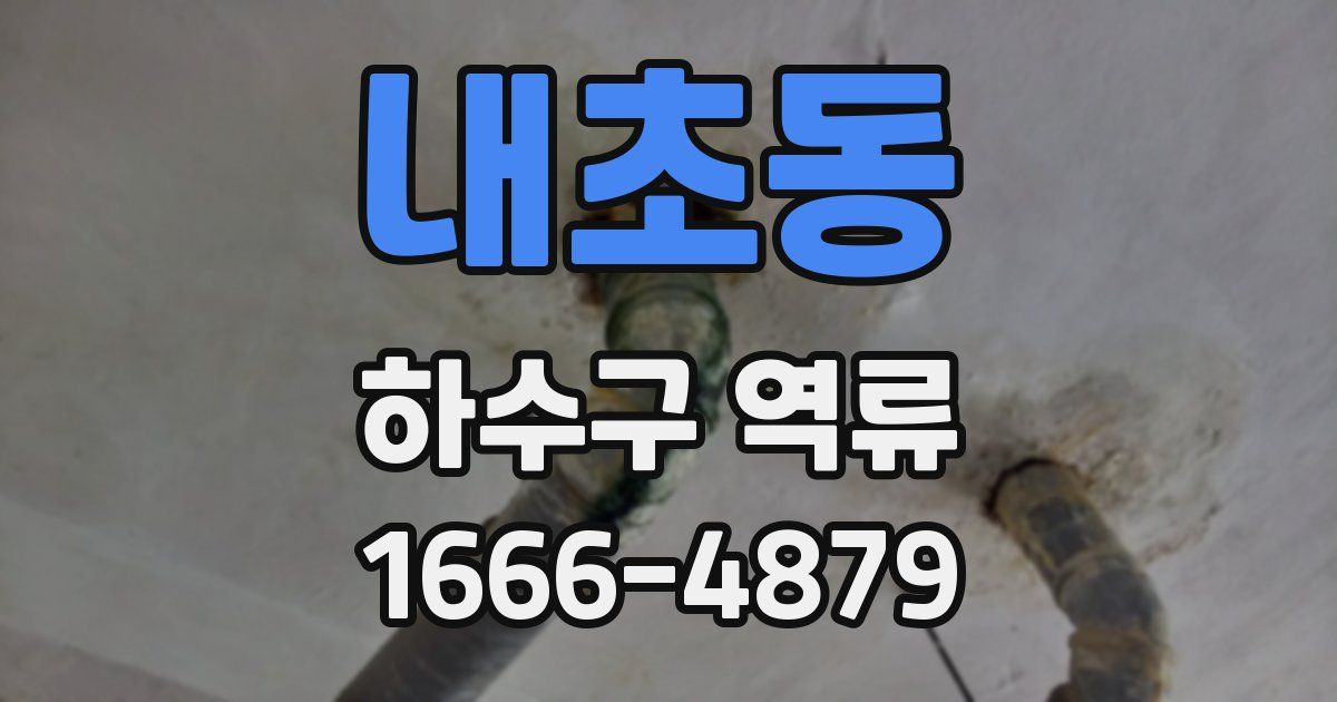 내초동 하수구 역류