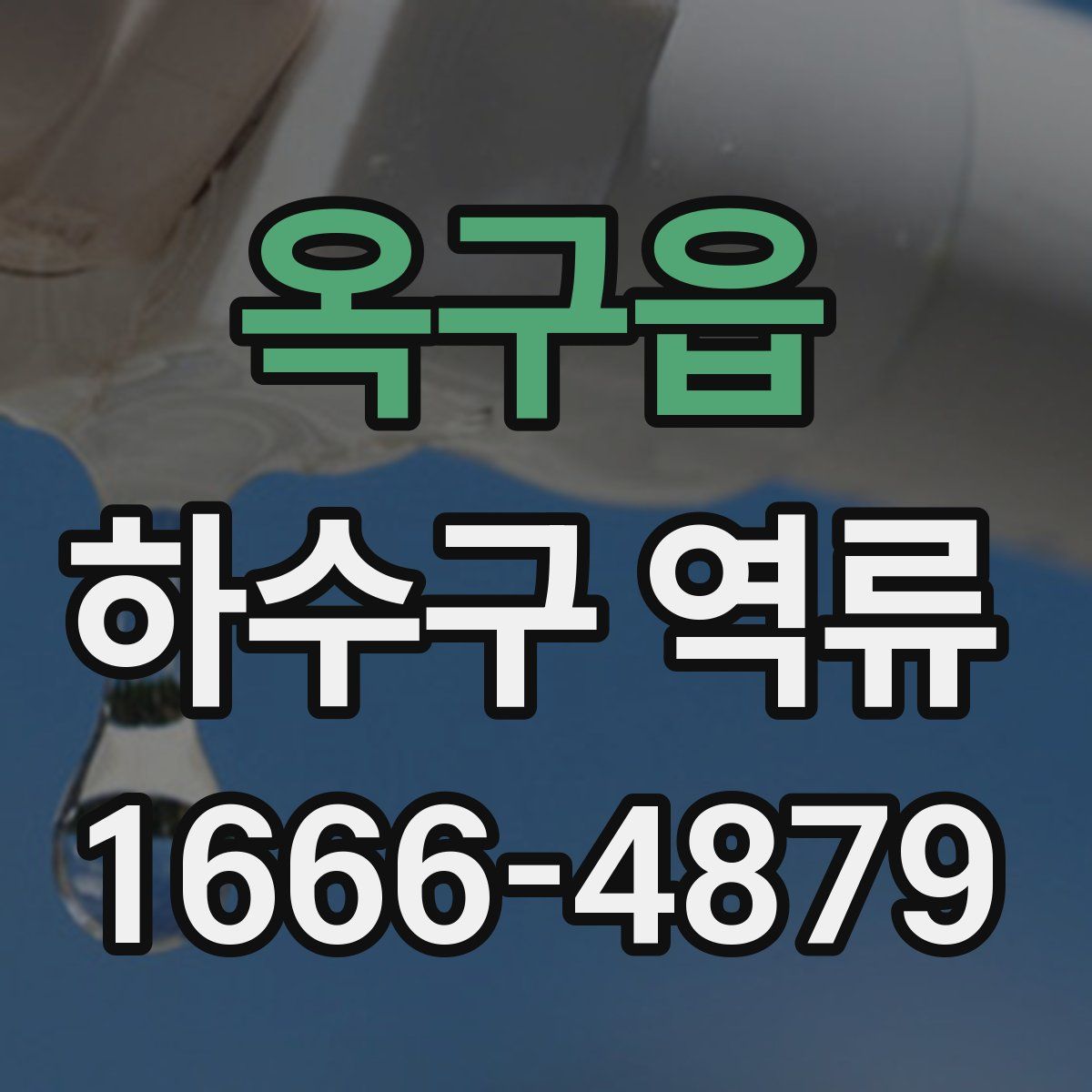 옥구읍 하수구 역류