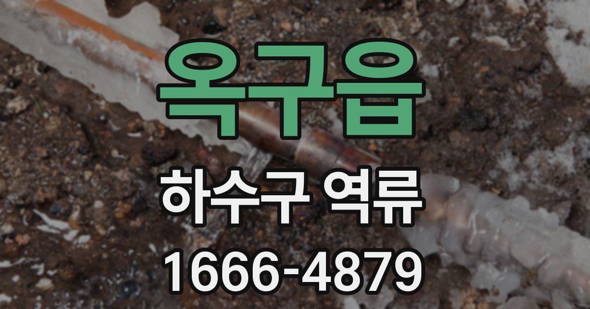 옥구읍 하수구 역류