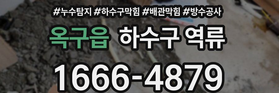 옥구읍 하수구 역류