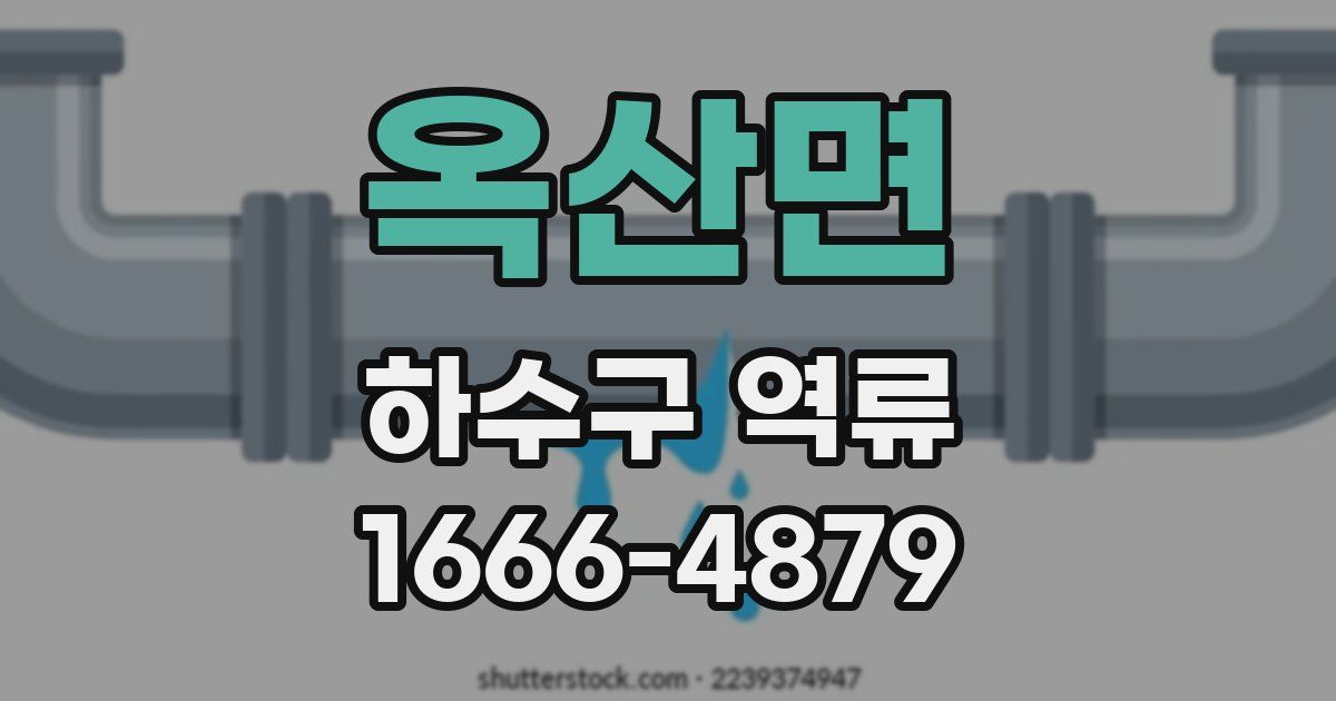 옥산면 하수구 역류