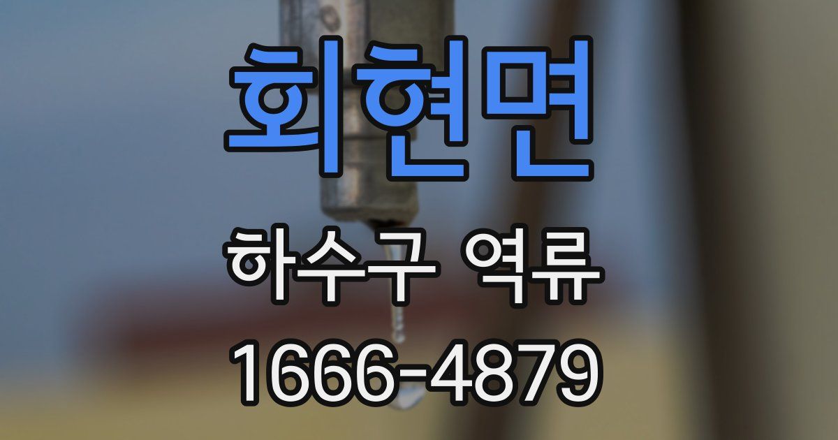 회현면 하수구 역류