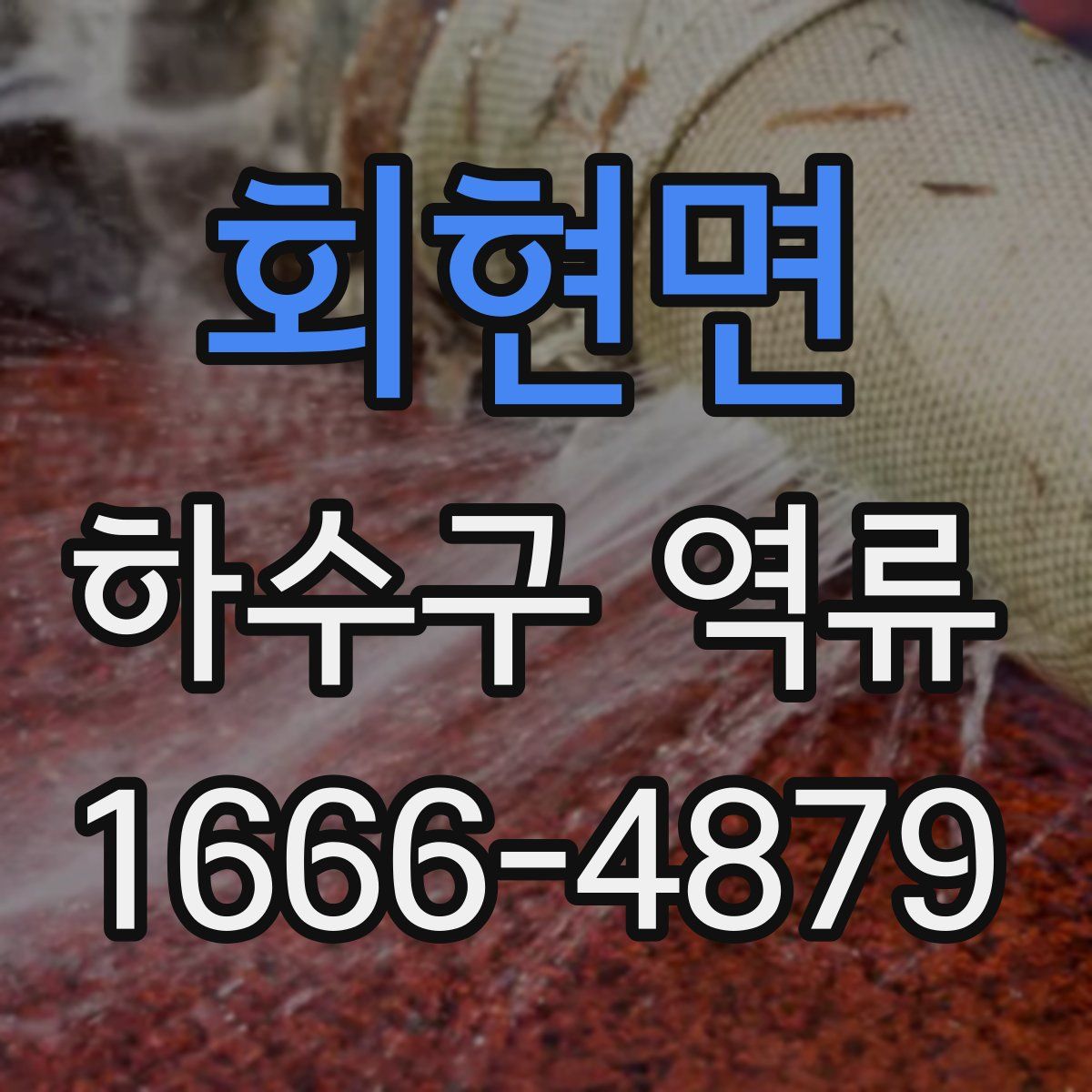 회현면 하수구 역류