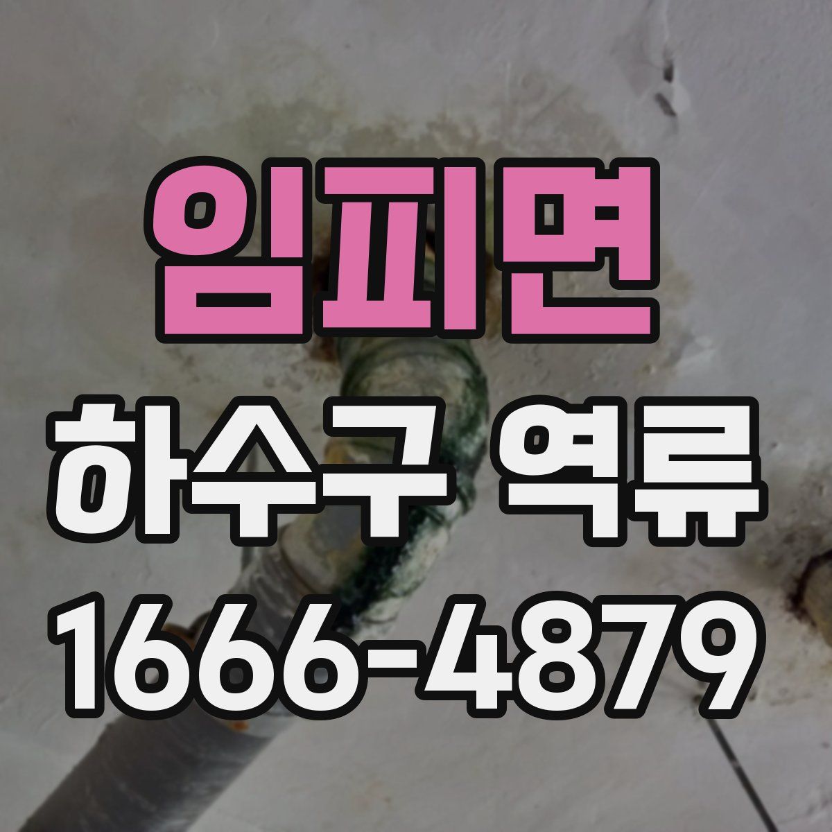 임피면 하수구 역류