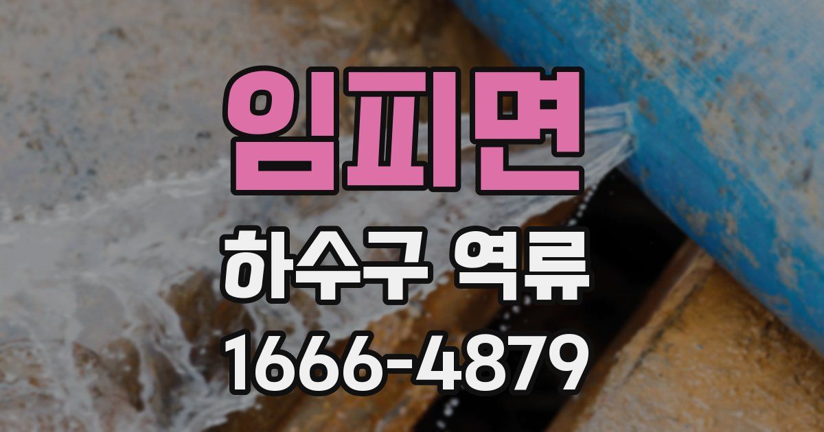 임피면 하수구 역류