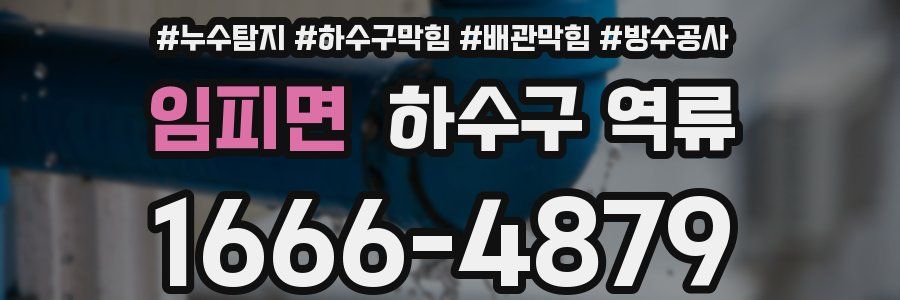 임피면 하수구 역류