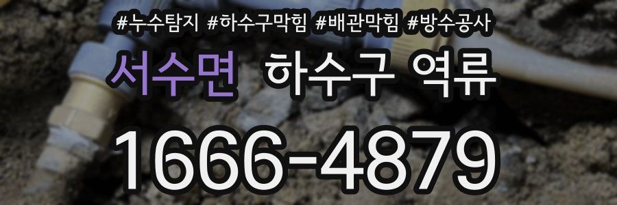 서수면 하수구 역류