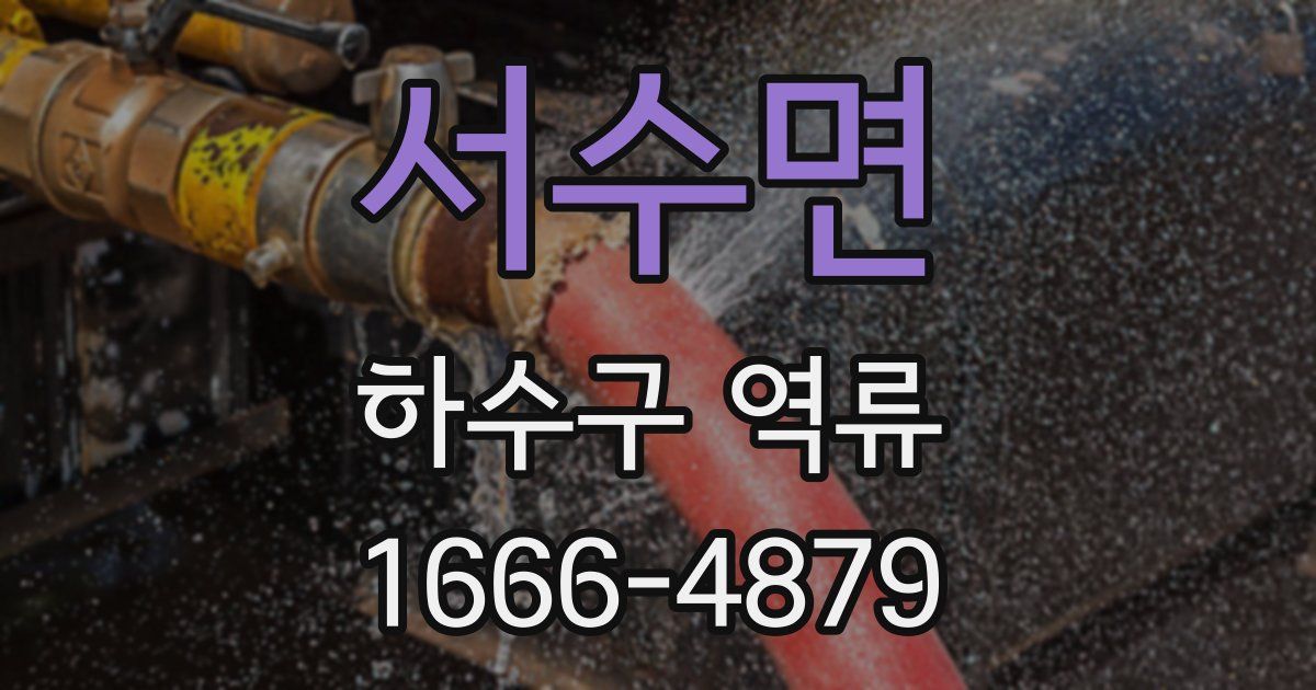 서수면 하수구 역류