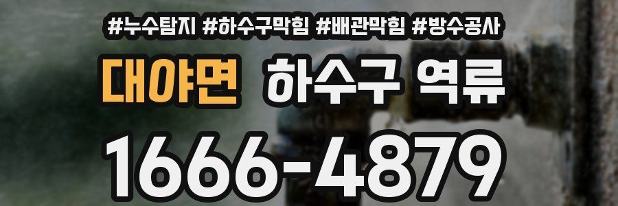 대야면 하수구 역류